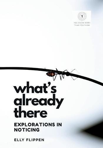 What's Already There: Explorations in Noticing
