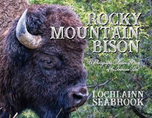 Rocky Mountain Bison: A Photographic Collection of Bison of the American West