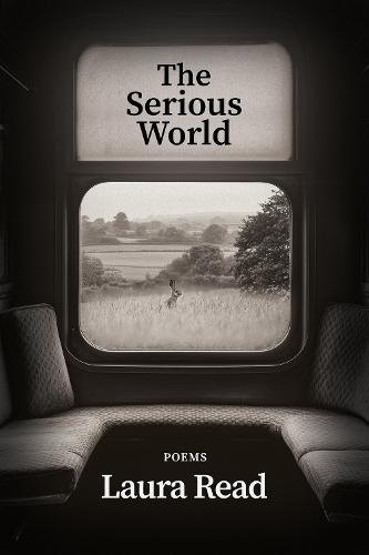 The Serious World