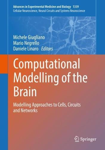 Computational Modelling of the Brain: Modelling Approaches to Cells, Circuits and Networks