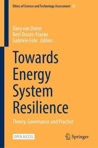 Towards Energy System Resilience: Theory, Governance and Practice