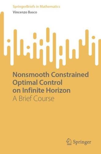 Nonsmooth Constrained Optimal Control on Infinite Horizon: A Brief Course
