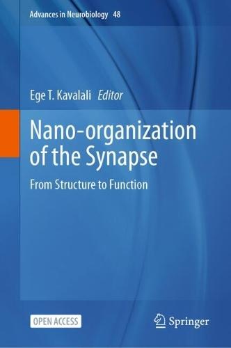 Nano-organization of the Synapse: From Structure to Function