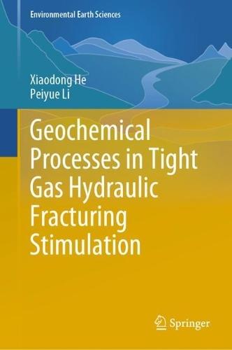 Geochemical Processes in Tight Gas Hydraulic Fracturing Stimulation