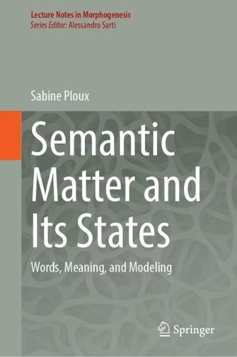 Semantic Matter and Its States: Words, Meaning, and Modeling