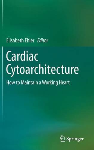 Cardiac Cytoarchitecture: How to Maintain a Working Heart