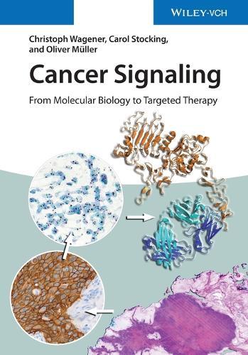 Cancer Signaling: From Molecular Biology to Targeted Therapy