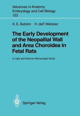 The Early Development of the Neopallial Wall and Area Choroidea in Fetal Rats: A Light and Electron Microscopic Study