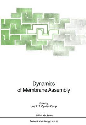 Dynamics of Membrane Assembly