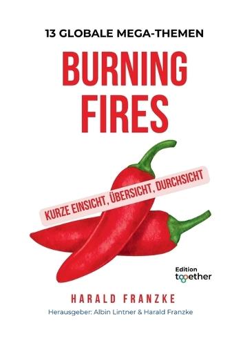 Burning Fires: 13 GLOBALE MEGA-THEMEN. Kurze Einsicht, Übersicht, Durchsicht ...