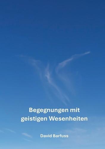 Begegnungen mit geistigen Wesenheiten: Ein spannendes Buch voller interessanter Geschichten und lehrreichen Erkenntnissen über die geistige Welt