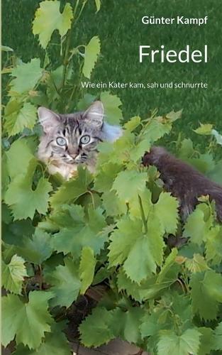 Friedel: Wie ein Kater kam, sah und schnurrte