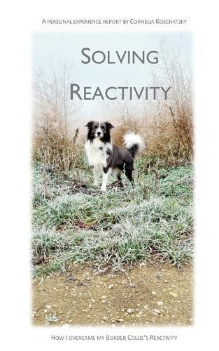Solving Reactivity: How I overcame my Border Collie's Reactivity
