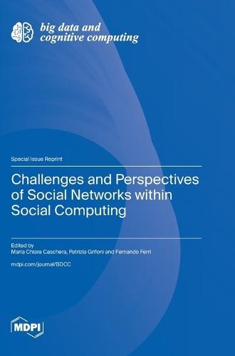 Challenges and Perspectives of Social Networks within Social Computing