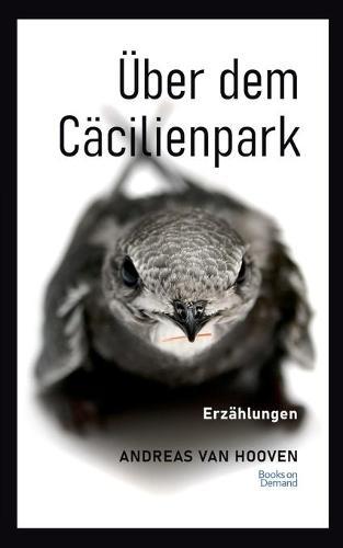 Über dem Cäcilienpark