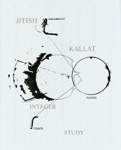 Jitish Kallat - Integer Study: Drawing from Life