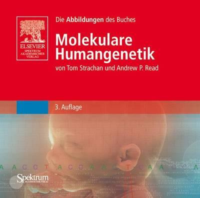 Bild-CD-ROM, Molekulare Humangenetik: Die Abbildungen Des Buches