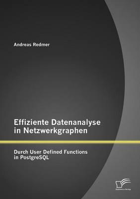 Effiziente Datenanalyse in Netzwerkgraphen: Durch User Defined Functions in PostgreSQL
