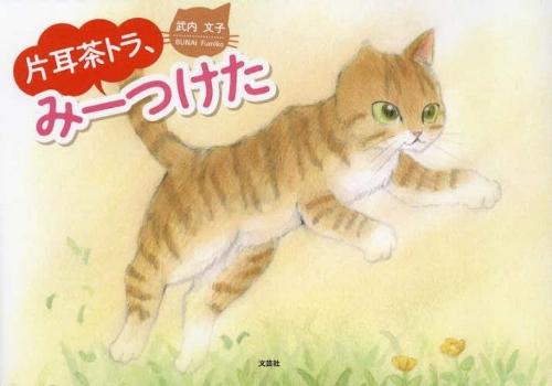 One-Eared Orange Cat, Found You!