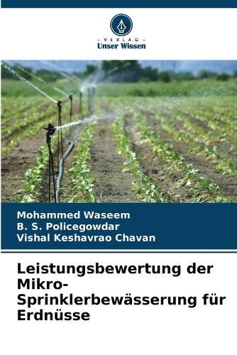 Leistungsbewertung der Mikro-Sprinklerbewässerung für Erdnüsse