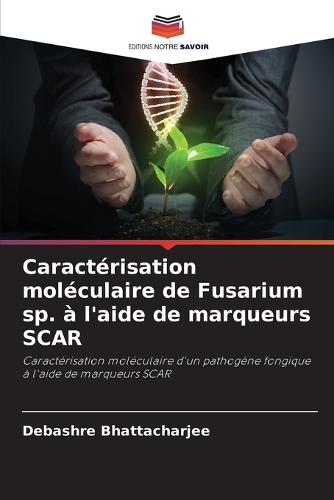 Caractérisation moléculaire de Fusarium sp. à l'aide de marqueurs SCAR