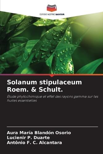 Solanum stipulaceum Roem. & Schult.