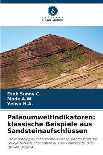 Paläoumweltindikatoren: klassische Beispiele aus Sandsteinaufschlüssen