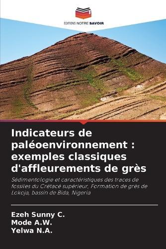 Indicateurs de paléoenvironnement: exemples classiques d'affleurements de grès