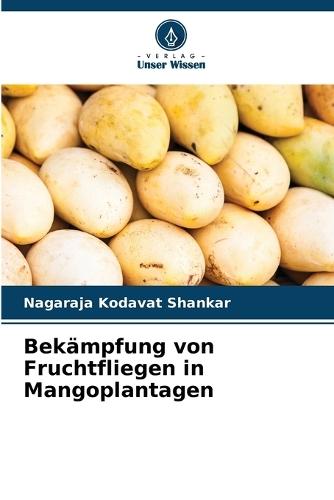 Bekämpfung von Fruchtfliegen in Mangoplantagen