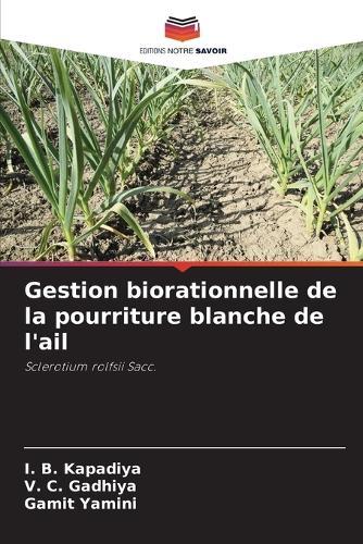 Gestion biorationnelle de la pourriture blanche de l'ail