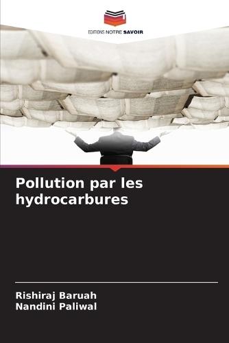 Pollution par les hydrocarbures