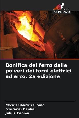 Bonifica del ferro dalle polveri dei forni elettrici ad arco. 2a edizione