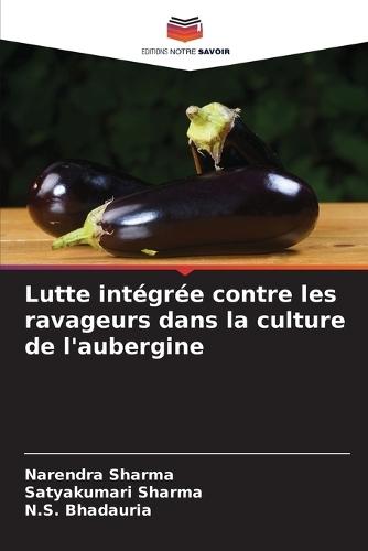 Lutte intégrée contre les ravageurs dans la culture de l'aubergine
