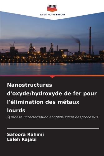 Nanostructures d'oxyde/hydroxyde de fer pour l'élimination des métaux lourds