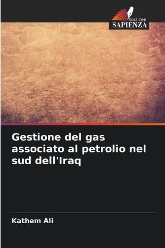 Gestione del gas associato al petrolio nel sud dell'Iraq