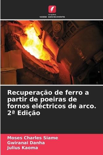 Recuperação de ferro a partir de poeiras de fornos eléctricos de arco. 2a Edição