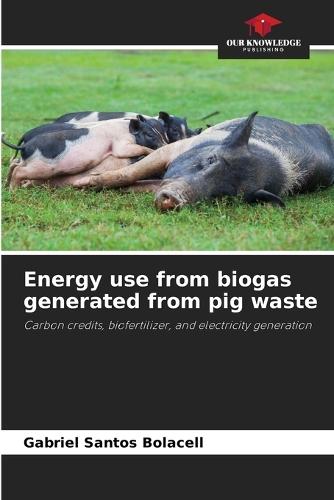 Energy use from biogas generated from pig waste