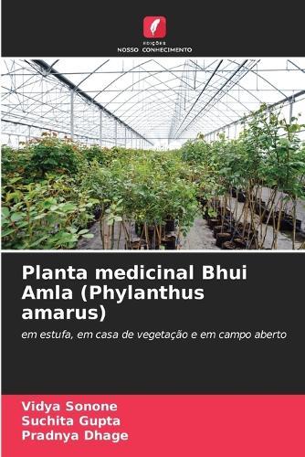 Planta medicinal Bhui Amla (Phylanthus amarus)