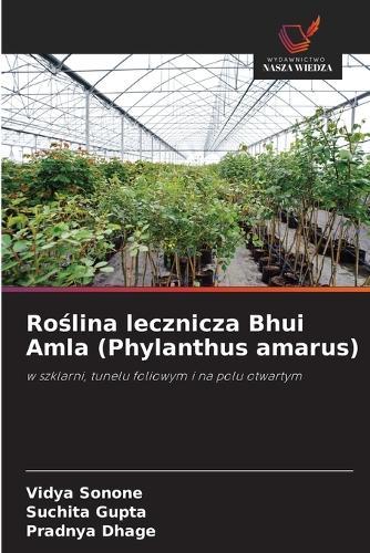 Roślina lecznicza Bhui Amla (Phylanthus amarus)