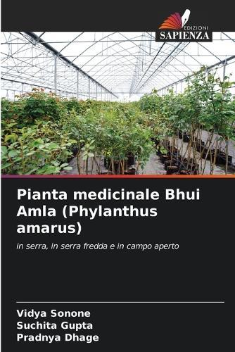 Pianta medicinale Bhui Amla (Phylanthus amarus)
