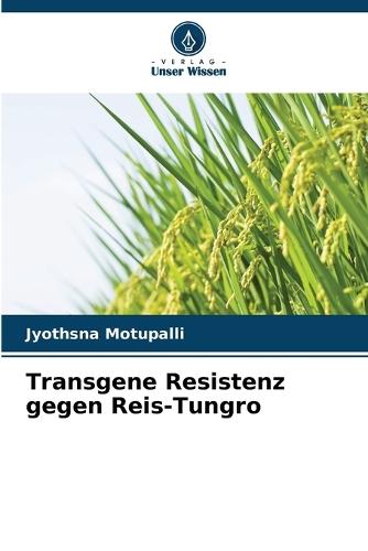Transgene Resistenz gegen Reis-Tungro