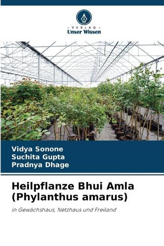 Heilpflanze Bhui Amla (Phylanthus amarus)