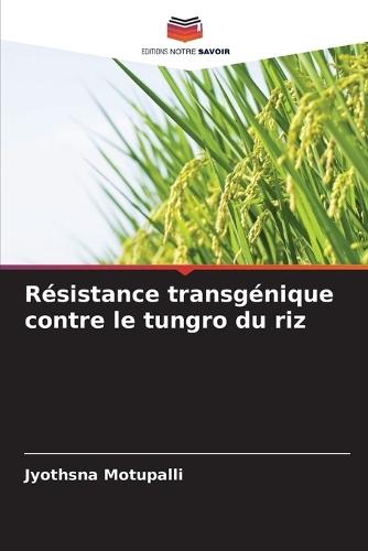 Résistance transgénique contre le tungro du riz