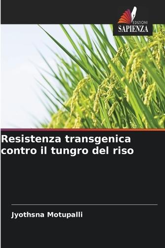 Resistenza transgenica contro il tungro del riso