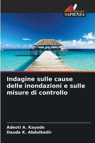 Indagine sulle cause delle inondazioni e sulle misure di controllo