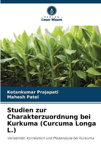 Studien zur Charakterzuordnung bei Kurkuma (Curcuma Longa L.)