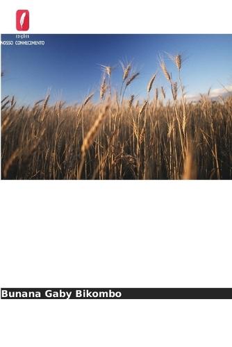 Compreender a insegurança alimentar doméstica dos comerciantes ambulantes em Durban