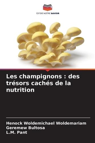 Les champignons: des trésors cachés de la nutrition