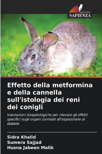 Effetto della metformina e della cannella sull'istologia dei reni dei conigli