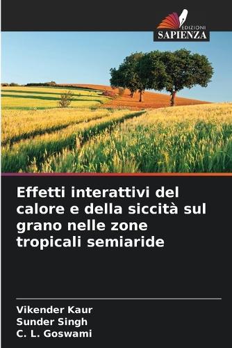 Effetti interattivi del calore e della siccità sul grano nelle zone tropicali semiaride
